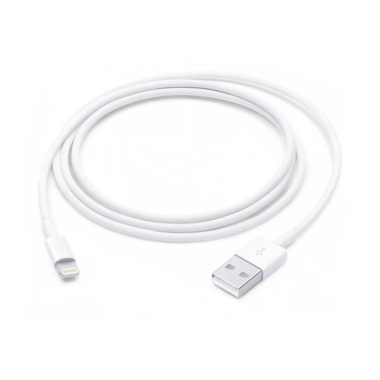Câble de charge (2m)